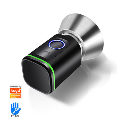 Facile Diy Installare Sistema Intelligente Tuya APP Chiusura Porta Keyless Connesso BLE Carta di Impronta Digitale
