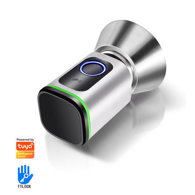 Facile Diy Installare Sistema Intelligente Tuya APP Chiusura Porta Keyless Connesso BLE Carta di Impronta Digitale
