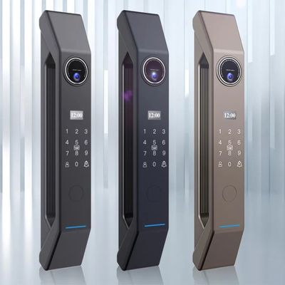 Cloud Data Storage Keyless Entry Smart Door Lock per porte in legno e in acciaio inossidabile