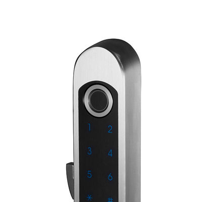 Serratura di porta in vetro in acciaio inossidabile idraulico biometrico per porte scorrevoli