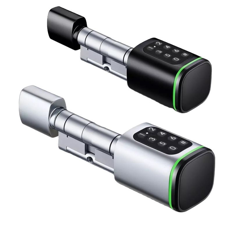 Carta di memoria Smart Digital Lock Tuya Wifi App Sicurezza per la casa ufficio Piccolo cilindro ovale