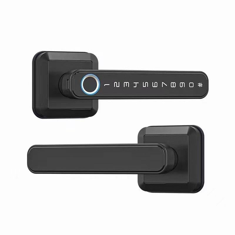 Maniglia di blocco di ingresso Bluetooth connesso WiFi per serratura di porta in stile moderno e semplice