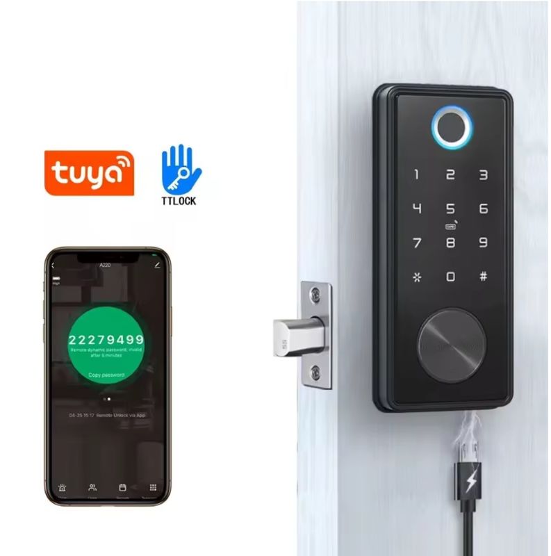 Zinc Alloy Black Blue Tooth Smart Lock per la rete WIFI Tuya APP scheda di memoria
