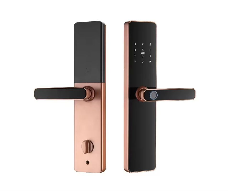 Serratura APP controllata dalle impronte digitali per porte in alluminio legno acciaio Tuya Smart TT Lock
