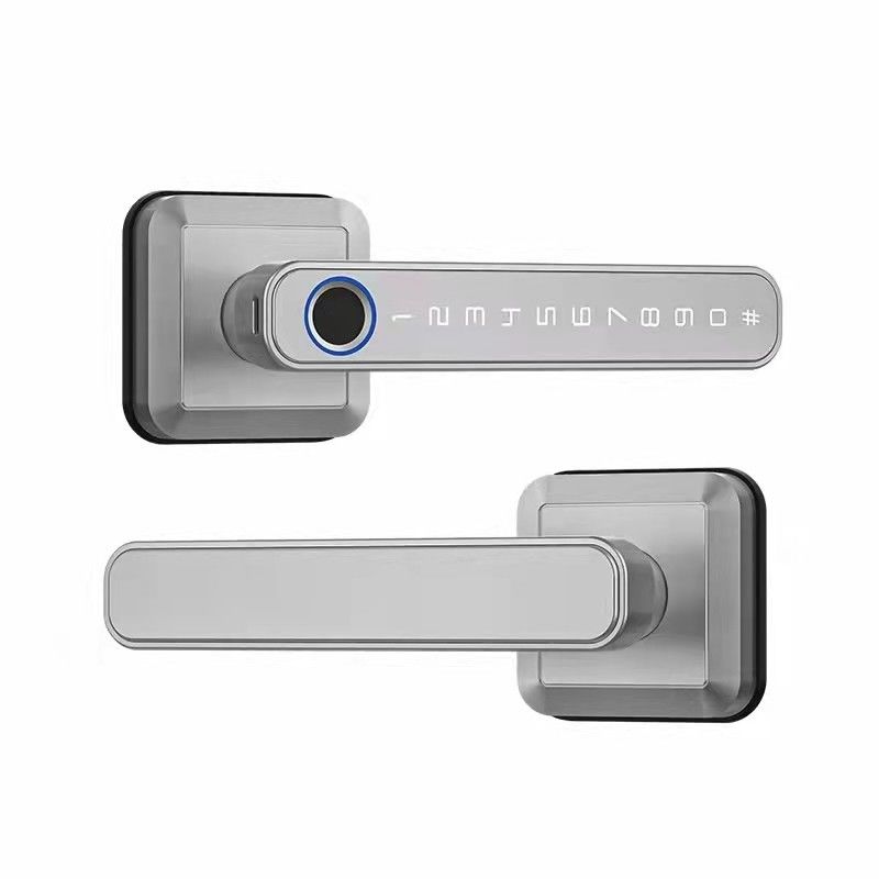 Fornitore di alimentazione tipo C WiFi Bluetooth Smart Home Lock con impronta digitale Sicurezza senza chiave