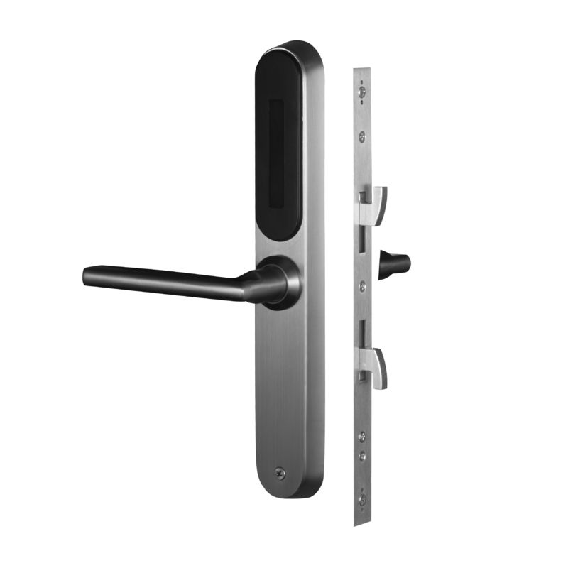 Serratura intelligente in acciaio inossidabile per la casa Password di impronte digitali WiFi Serratura porta in acciaio tutto in uno