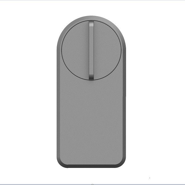 Zinc Alloy Tuya App Wifi Password wireless Smart Blue Tooth Door Lock per il 95% delle porte