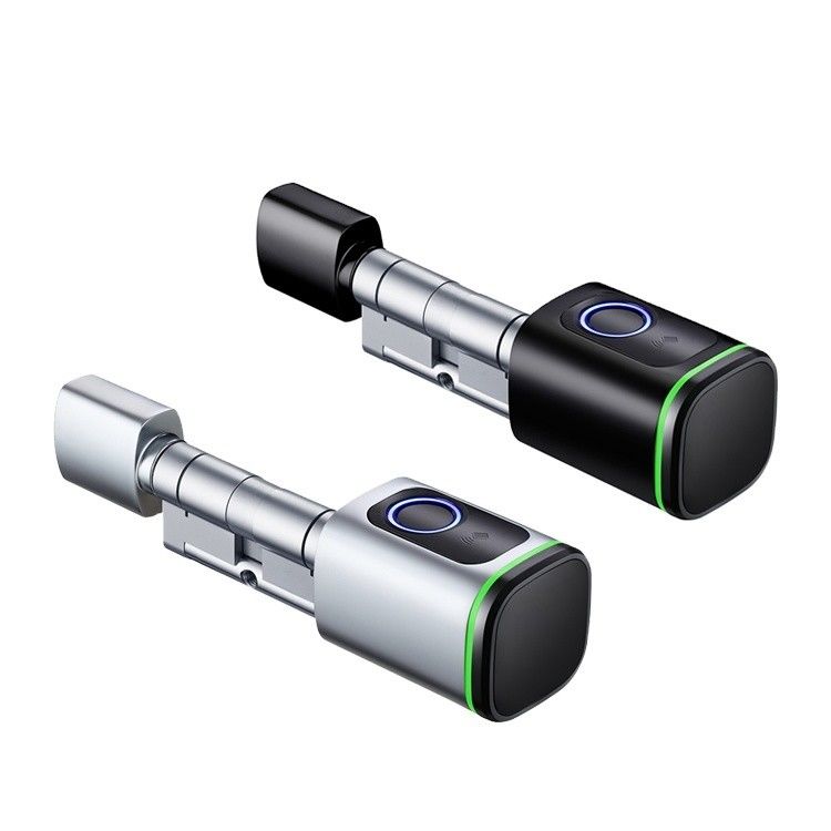 Porta d'acciaio Tuya digitale App Card Password Smart Cylinder Lock con memorizzazione della scheda