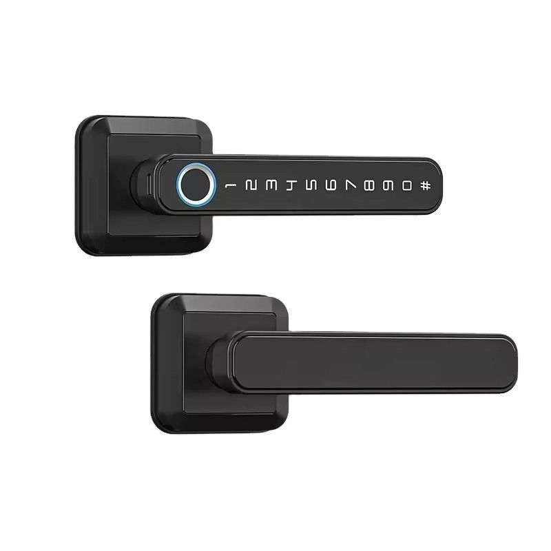 Blocco intelligente per porta in legno, resistente all'acqua IP66 Wifi