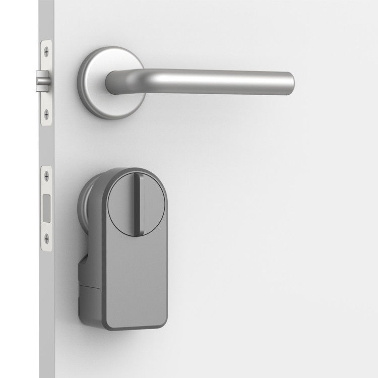 Funzione di allarme Grigio Retrofit Smart Knob Door Lock per Bluetooth Gateway e Deadlock