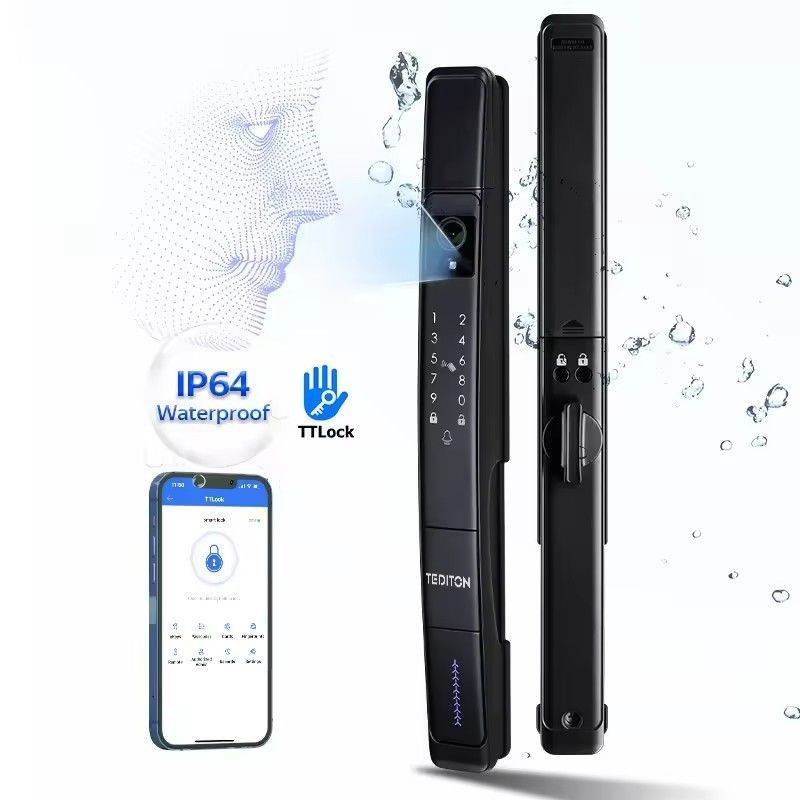 2024 TUYA App Smart Lock Wifi 3D Face Fingerprint Recognition per porta in vetro in legno