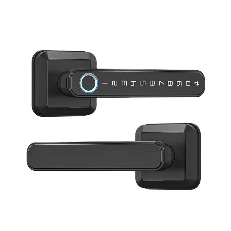 Materiale in lega di zinco Chiusura porta con impronte digitali Wifi abilitata impermeabile IP66 per porta in legno