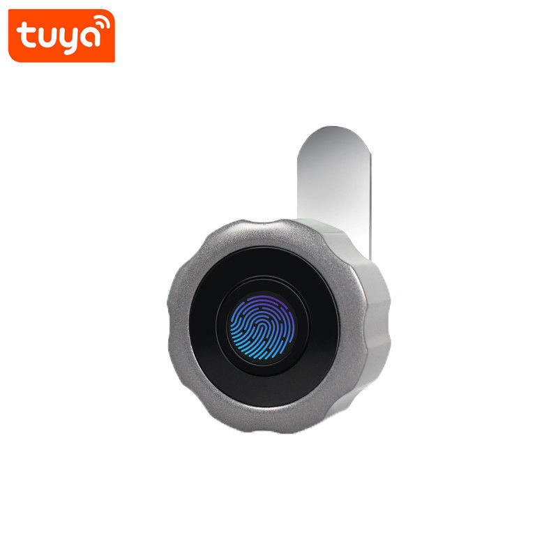 Porta di vetro Tuya Smart Magnetic Fingerprint Scatola Armadio senza chiave Prezzi serratura porta