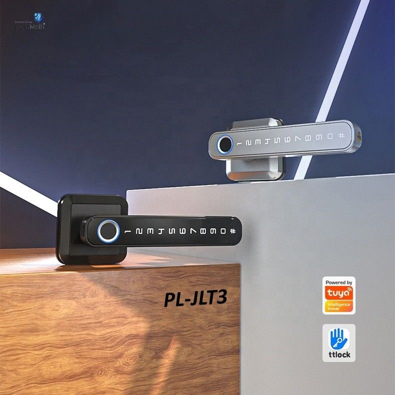 Stylish Zinc Alloy Fingerprint Door Lock con Tuya Wifi App Unlock Method Fingerprint