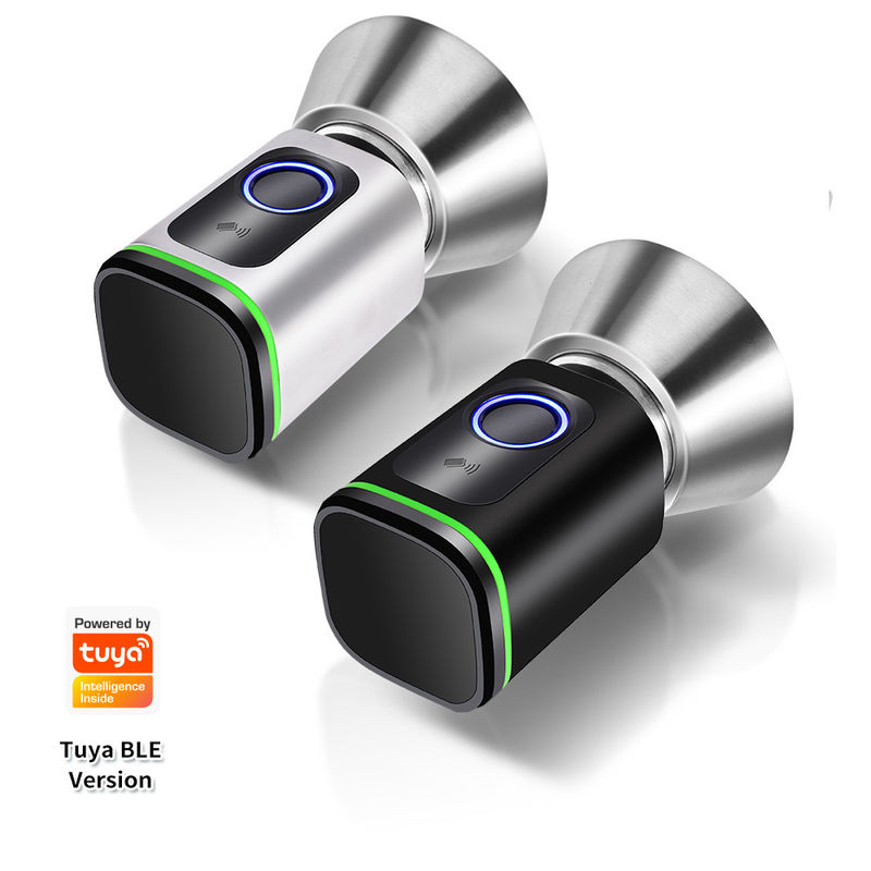 Codice di accesso argento nero TUYA APP Serratura della porta chiuso con serratura Wifi Network Reader Dimensione 42*42mm