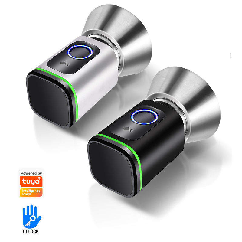 Facile Diy Installare Sistema Intelligente Tuya APP Chiusura Porta Keyless Connesso BLE Carta di Impronta Digitale